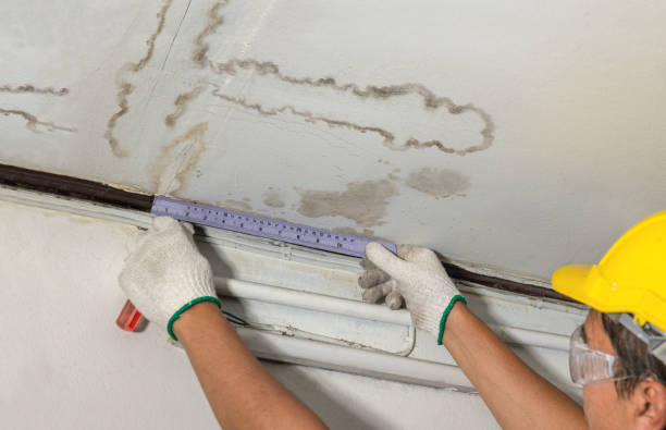 Reliable Water Damage Restoration contractor in Wheaton, IL by Water Damage Irwin